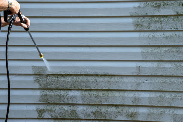 Best Hoarding Cleanup  in Wailea, HI